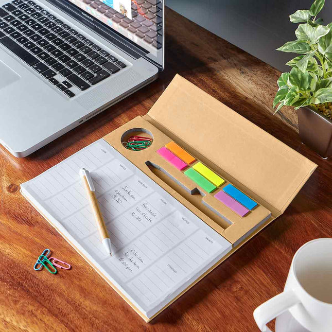 PROGRAMADOR PRISTINA