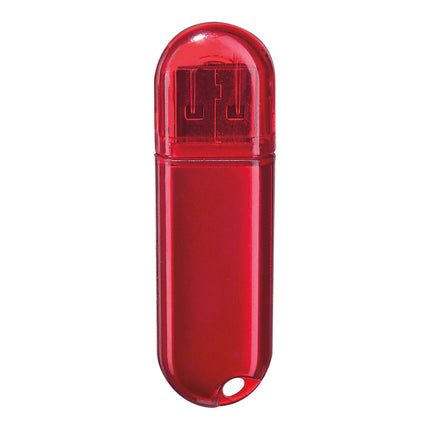 USB ARGOS 4 GB